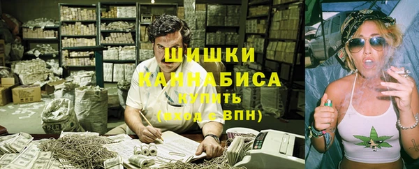 ПСИЛОЦИБИНОВЫЕ ГРИБЫ Алексин