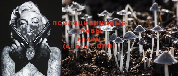 ПСИЛОЦИБИНОВЫЕ ГРИБЫ Алексин