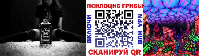 дарнет шоп Жуковка Псилоцибиновые грибы мицелий