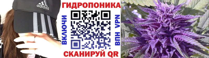 купить цена Жуковка Бошки марихуана ГИДРОПОН